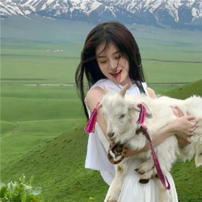 名侦探学院 彩蛋版
